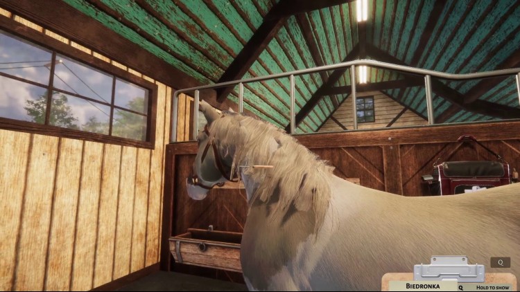 Animal Shelter - Horse Shelter DLC