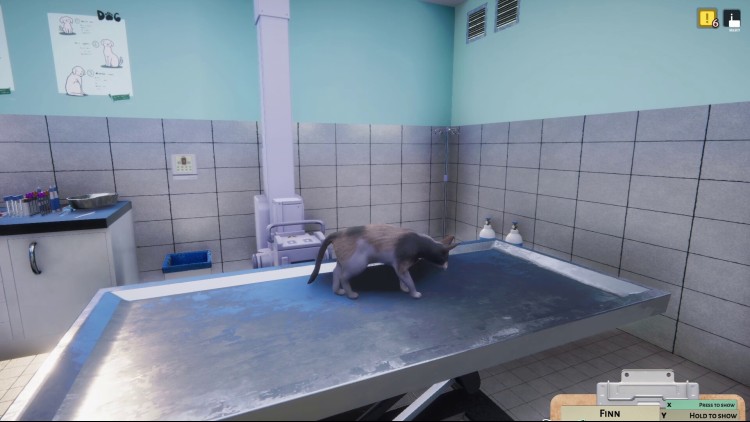 Animal Shelter - Vet Clinic DLC