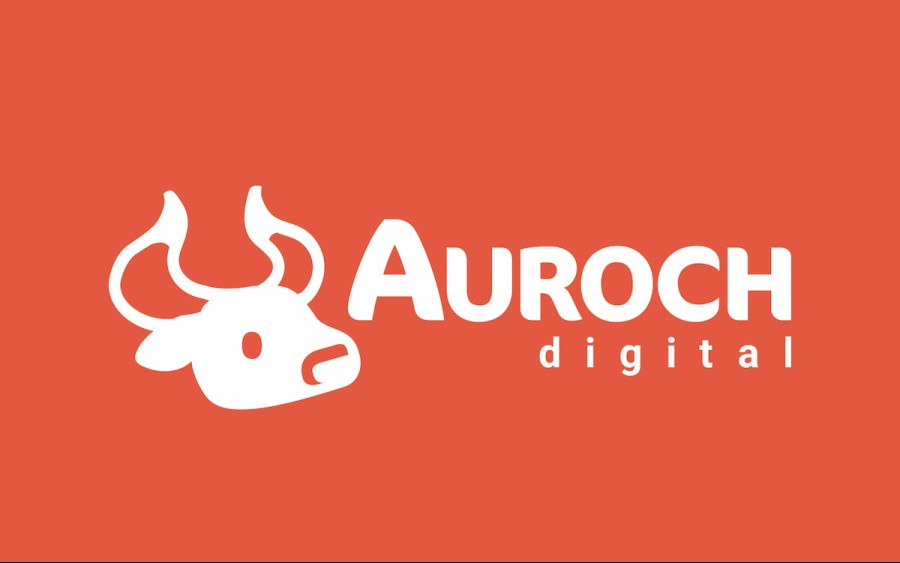 What is Auroch Digital?