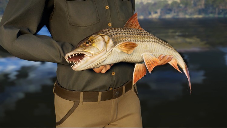 Call of the Wild: The Angler™ - South Africa Reserve