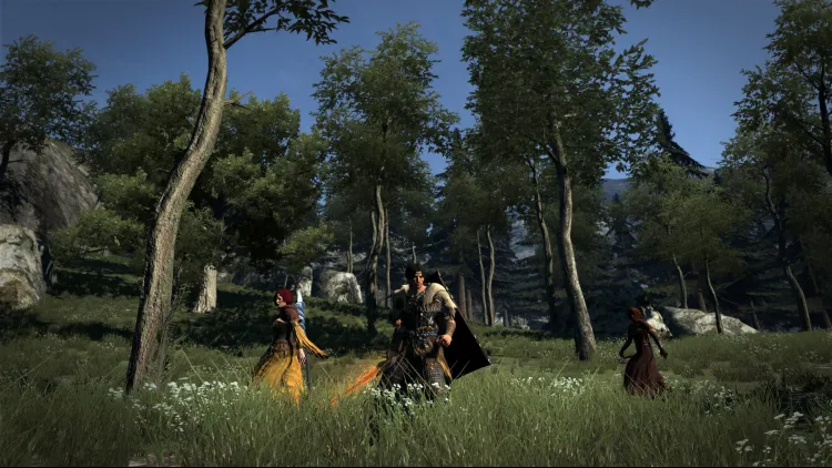 Dragon's Dogma : Dark Arisen