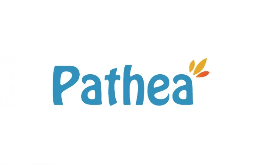 What is Pathea Games? What is Pathea Games?