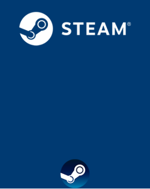 Steam 100 USD (United States)
