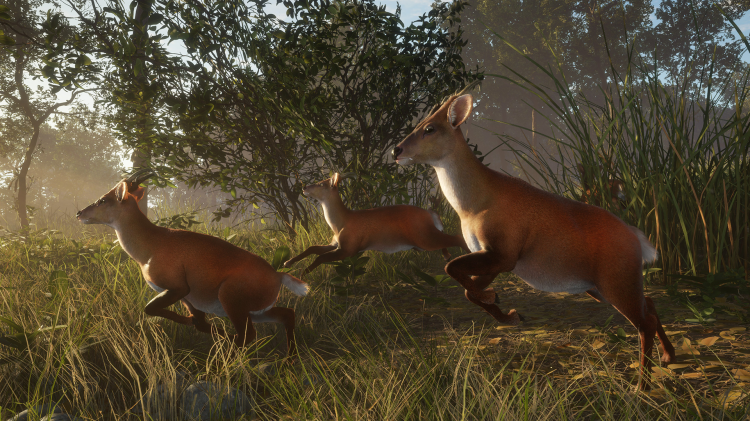 theHunter: Call of the Wild™ - Sundarpatan Nepal Hunting Reserve