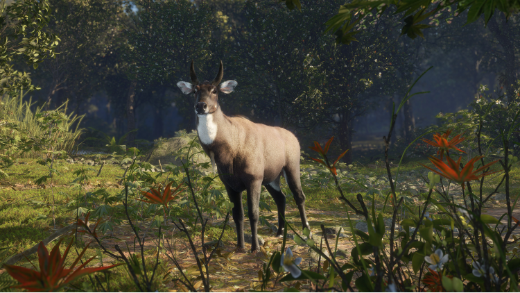 theHunter: Call of the Wild™ - Sundarpatan Nepal Hunting Reserve