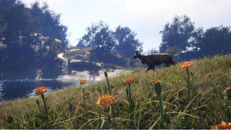 theHunter: Call of the Wild™ - Sundarpatan Nepal Hunting Reserve