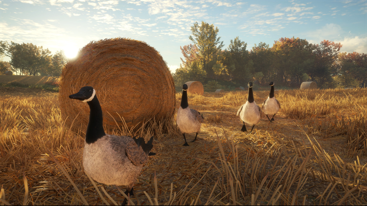theHunter: Call of the Wild™ - Wild Goose Chase Gear
