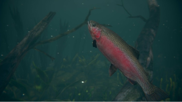 Ultimate Fishing Simulator 2 