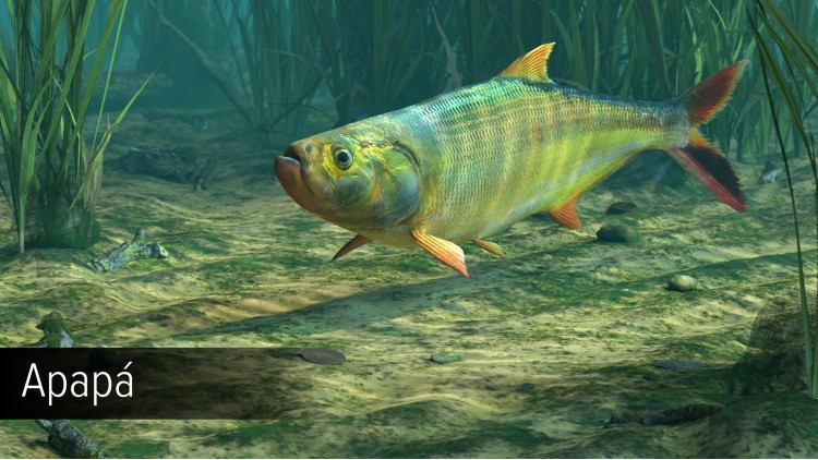 Ultimate Fishing Simulator - Amazon River DLC