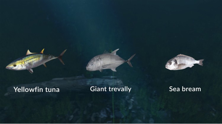 Ultimate Fishing Simulator - New Fish Species