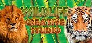 The Wildlife Creative Studio